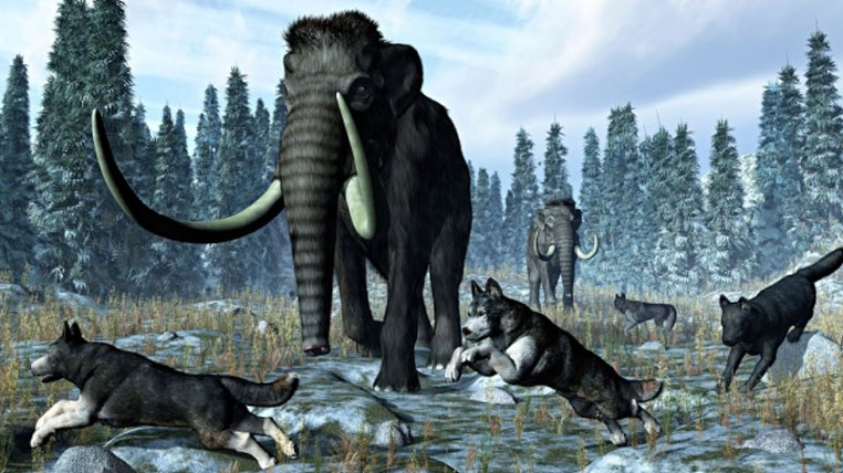 Οι πρόγονοι μας εξαφάνισαν τους Νεάντερταλ χάρη στη βοήθεια των σκύλων